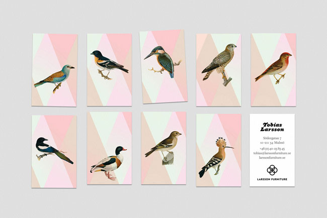 Visitkort för Larsson Furniture. Illustrationer av olika fåglar